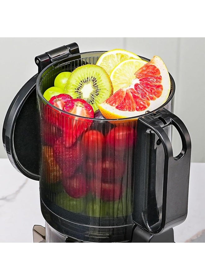 Arshia Slow Juicer - Image 4